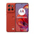 Smartphone Motorola PB310045RO 6,4" Octa Core 8 GB RAM 256 GB Rot