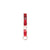 Hundehalsband Dog Gone Smart Rot 12 Licht
