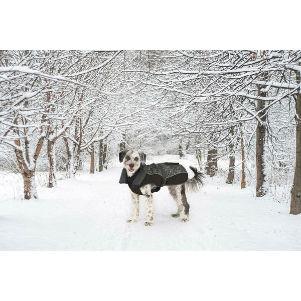 Hundemäntelchen Dog Gone Smart Schwarz 60 cm