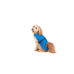 Regenmantel für Hunde Dog Gone Smart Blau 45 cm