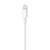 Lichtkabel Apple ME291ZM/A 50 cm Weiß