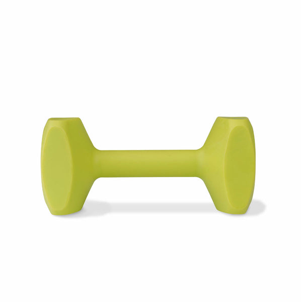 Trainingsspielzeug Coachi TRAINING DUMBBELL