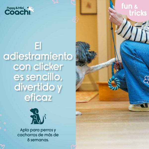 Hundegeschirr Coachi