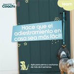 Hundegeschirr Coachi