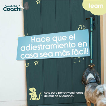 Hundegeschirr Coachi