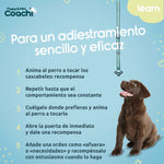 Hundegeschirr Coachi