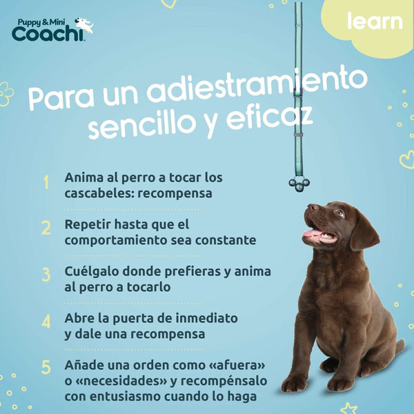 Hundegeschirr Coachi