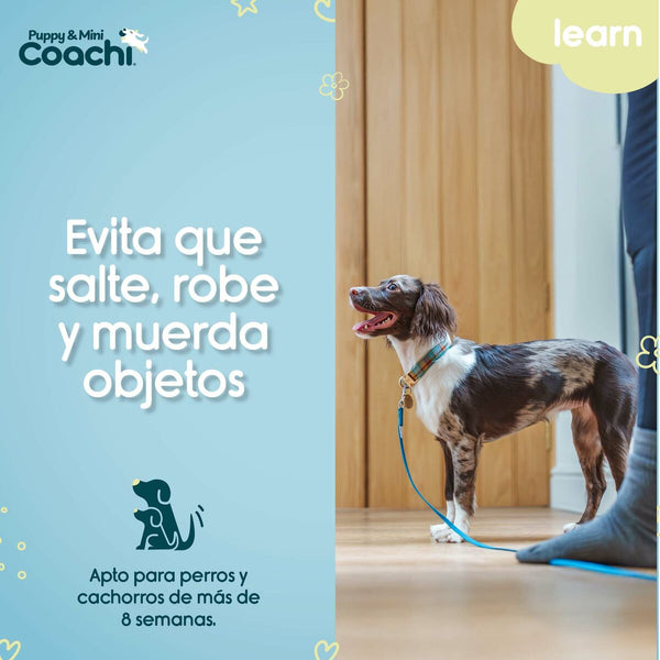 Hundegeschirr Coachi