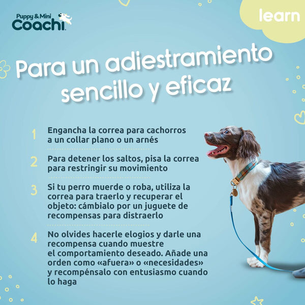 Hundegeschirr Coachi