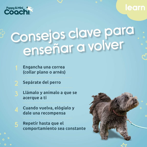 Hundegeschirr Coachi