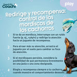 Hundegeschirr Coachi