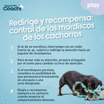 Hundegeschirr Coachi