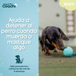 Hundegeschirr Coachi