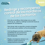 Hundegeschirr Coachi