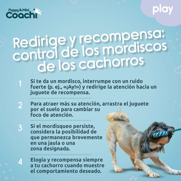 Hundegeschirr Coachi