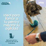 Hundegeschirr Coachi