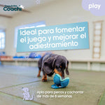 Hundegeschirr Coachi