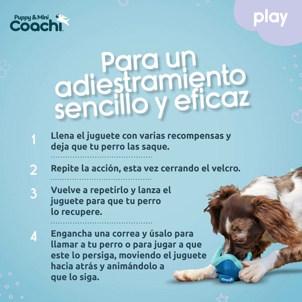 Hundegeschirr Coachi