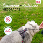 Hundegeschirr Company of Animals Grau XS 20-32 cm