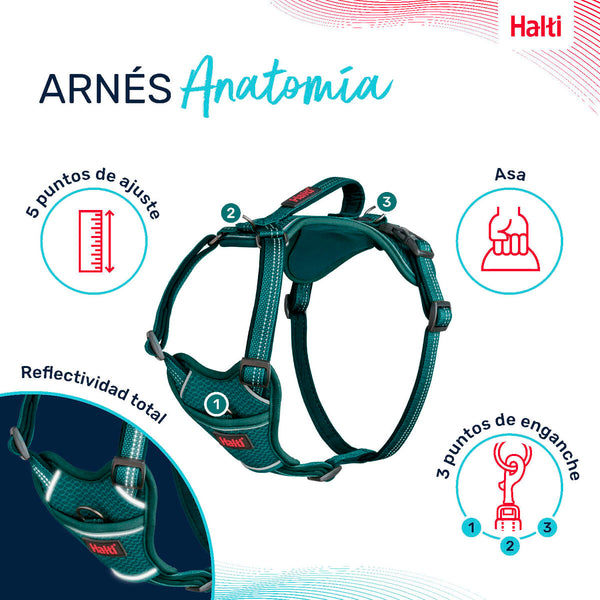 Hundegeschirr Company of Animals türkis S 28-42 cm