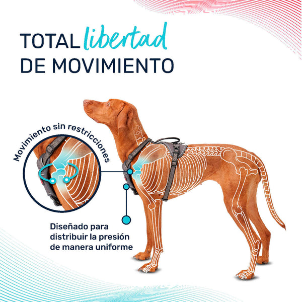 Hundegeschirr Company of Animals türkis S 28-42 cm