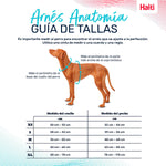 Hundegeschirr Company of Animals türkis L 42-65 cm