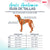 Hundegeschirr Company of Animals türkis L 42-65 cm
