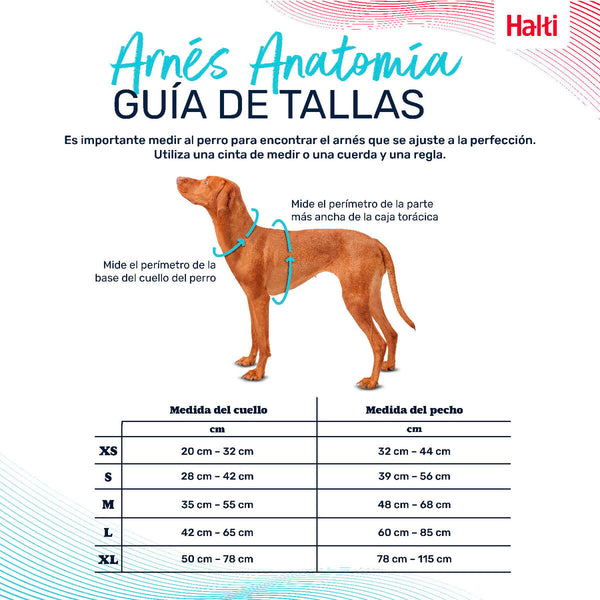 Hundegeschirr Company of Animals türkis L 42-65 cm
