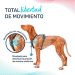 Hundegeschirr Company of Animals türkis L 42-65 cm