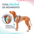 Hundegeschirr Company of Animals türkis L 42-65 cm