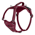 Hundegeschirr Company of Animals Burgunderrot M 35-55 cm