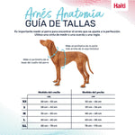Hundegeschirr Company of Animals Burgunderrot M 35-55 cm