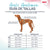 Hundegeschirr Company of Animals Burgunderrot M 35-55 cm