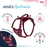 Hundegeschirr Company of Animals Burgunderrot M 35-55 cm