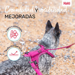 Hundegeschirr Company of Animals Burgunderrot M 35-55 cm