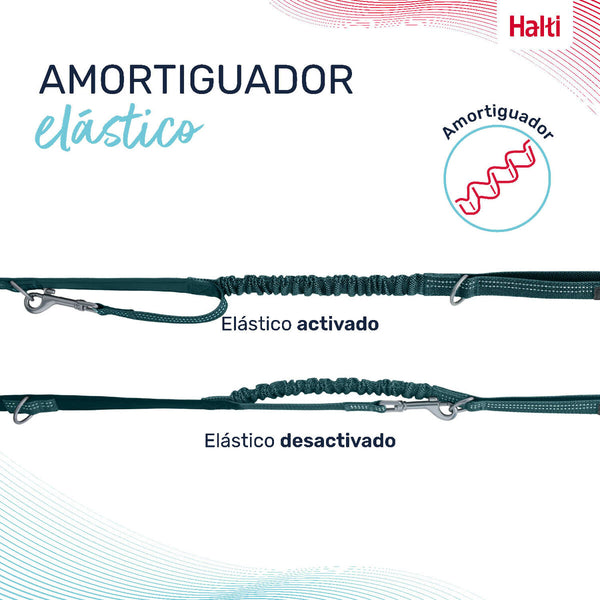 Hundeleine Company of Animals türkis L