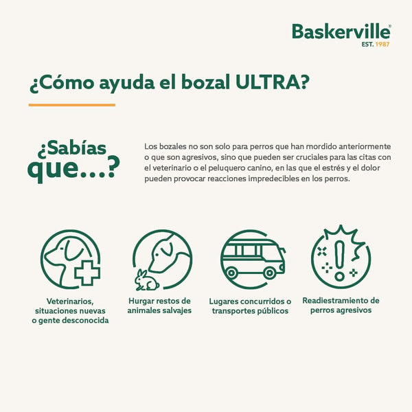 Maulkorb Company of Animals Schwarz 4