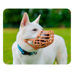 Maulkorb Company of Animals Braun 4