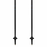 Trekking-Stock Salomon Poles Mtn Outdoor 120 cm