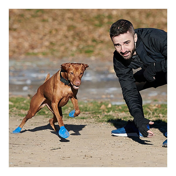 Stiefel Pawz Hund 12 Stück Größe XL grün