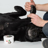 Wachs Pawz MAXWAX 200 gr