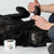 Wachs Pawz MAXWAX 200 gr