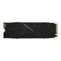 Festplatte Predator BL.9BWWR.123 2 TB SSD