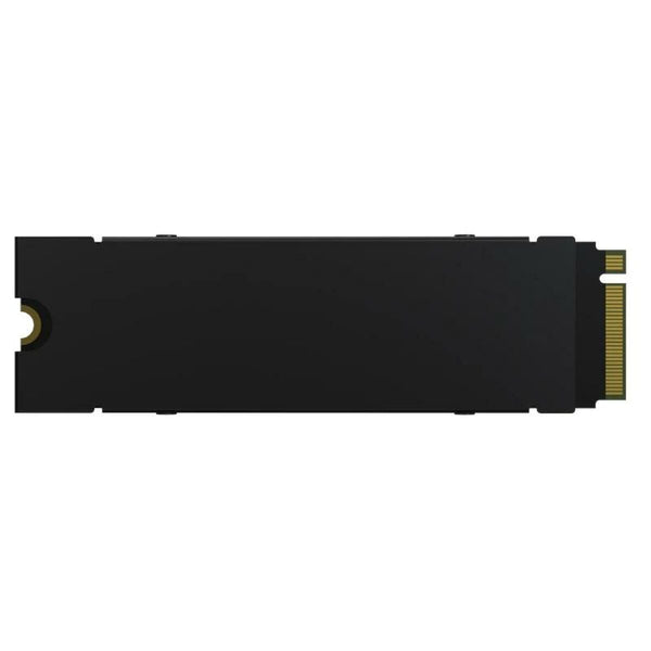 Festplatte Predator BL.9BWWR.123 2 TB SSD