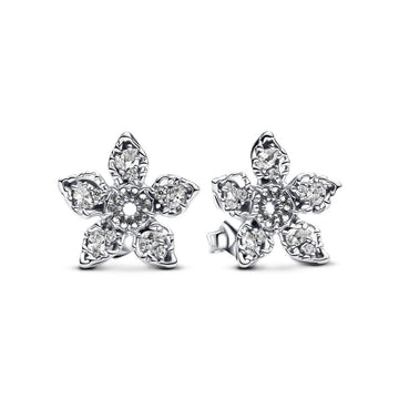 Damenohrringe Pandora 293573C01 Sterlingsilber 925 Silberfarben