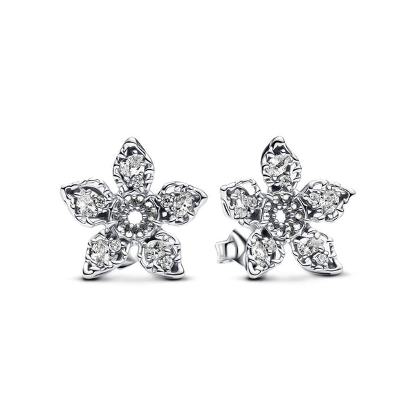 Damenohrringe Pandora 293573C01 Sterlingsilber 925 Silberfarben