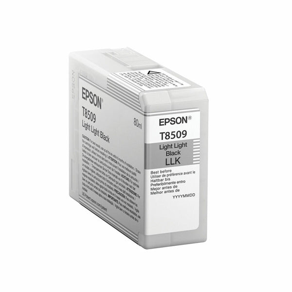 Original Tintenpatrone Epson C13T850900