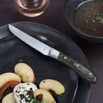 Steakmesser-Set Amefa Achille Metall 23 x 2,4 x 1,5 cm 6 Stück