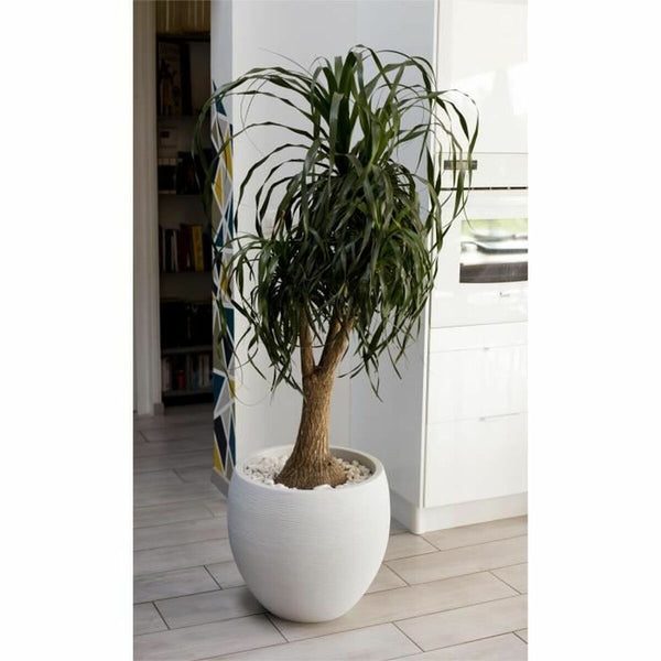 Blumentopf EDA Graphit rund Weiß Ø 50 cm