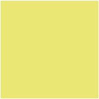 Pappe Iris Kiwi 50 x 65 cm